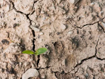 Retrait-gonflement des argiles : fissures, assurance et prévention